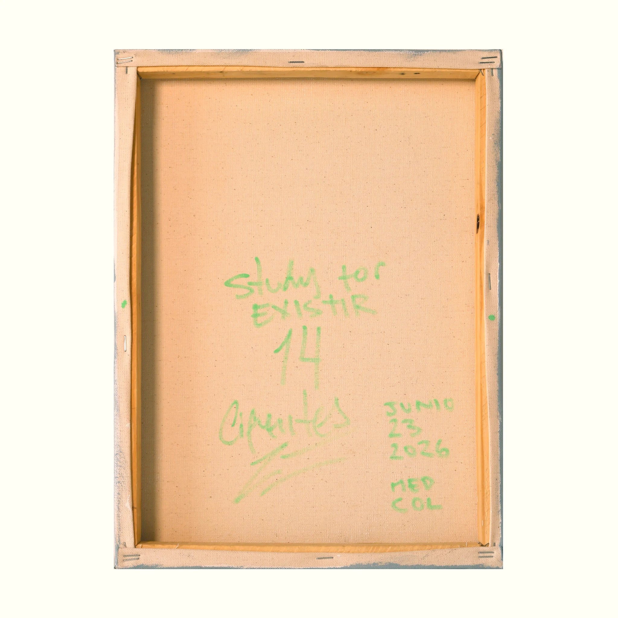 Estudio 14 — EXISTIR