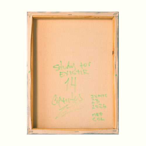 Estudio 14 — EXISTIR