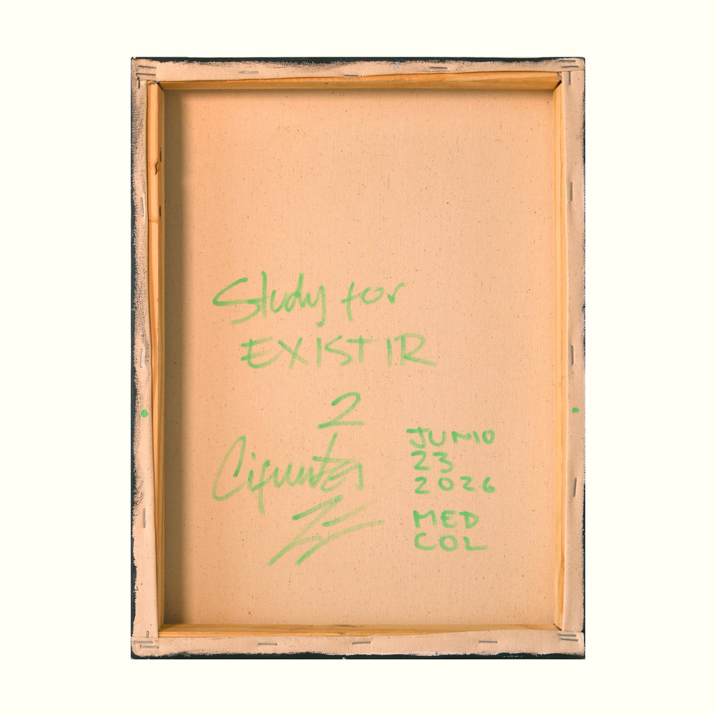 Estudio 2 — EXISTIR