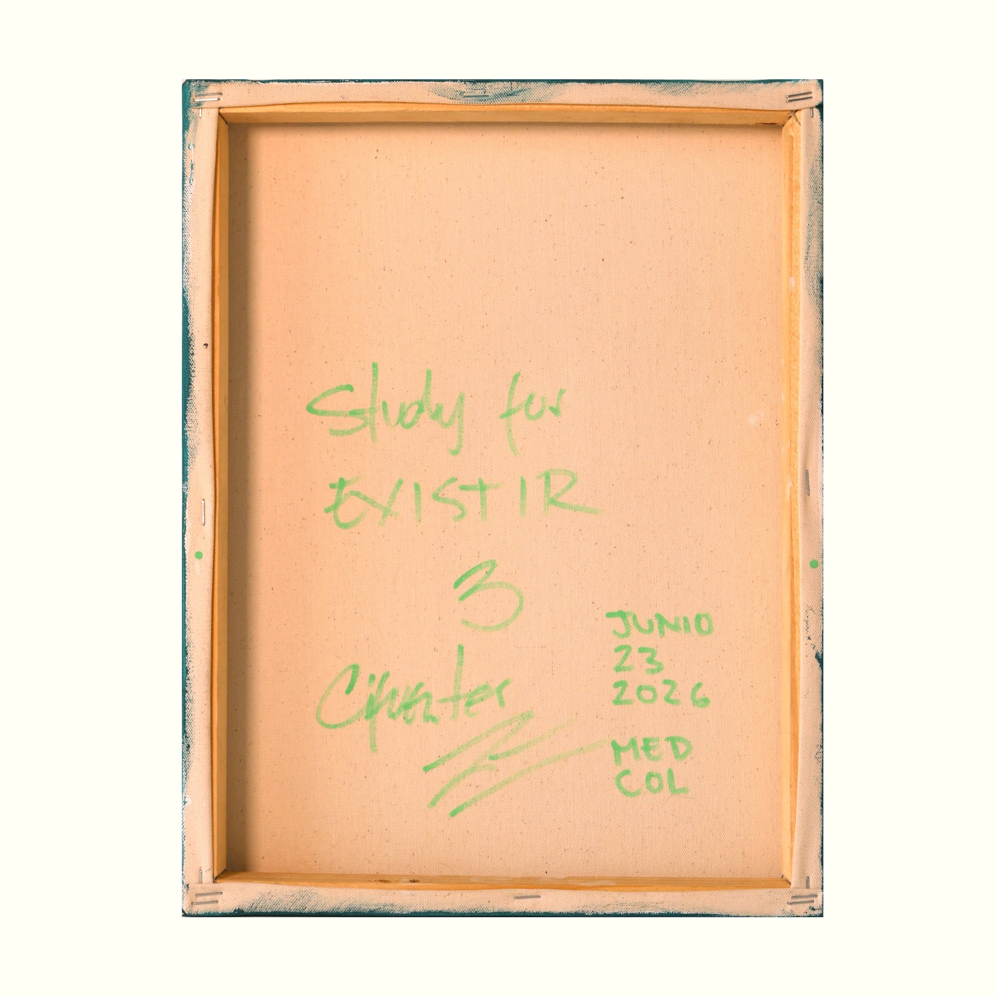 Estudio 3 — EXISTIR