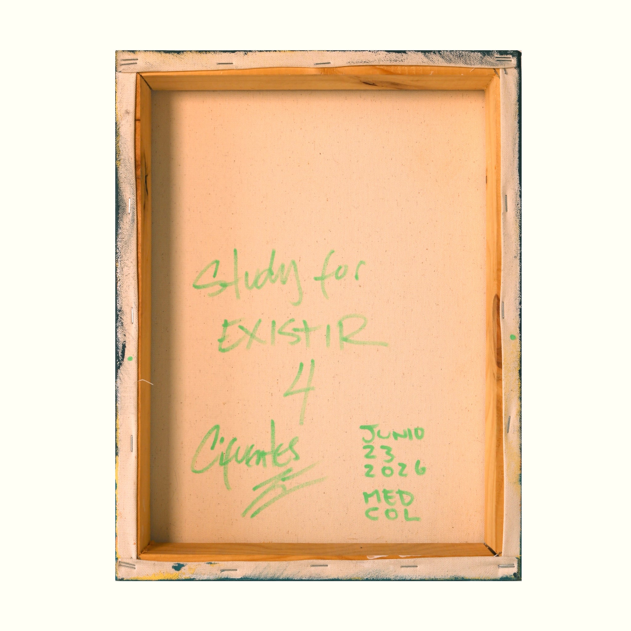 Estudio 4 — EXISTIR