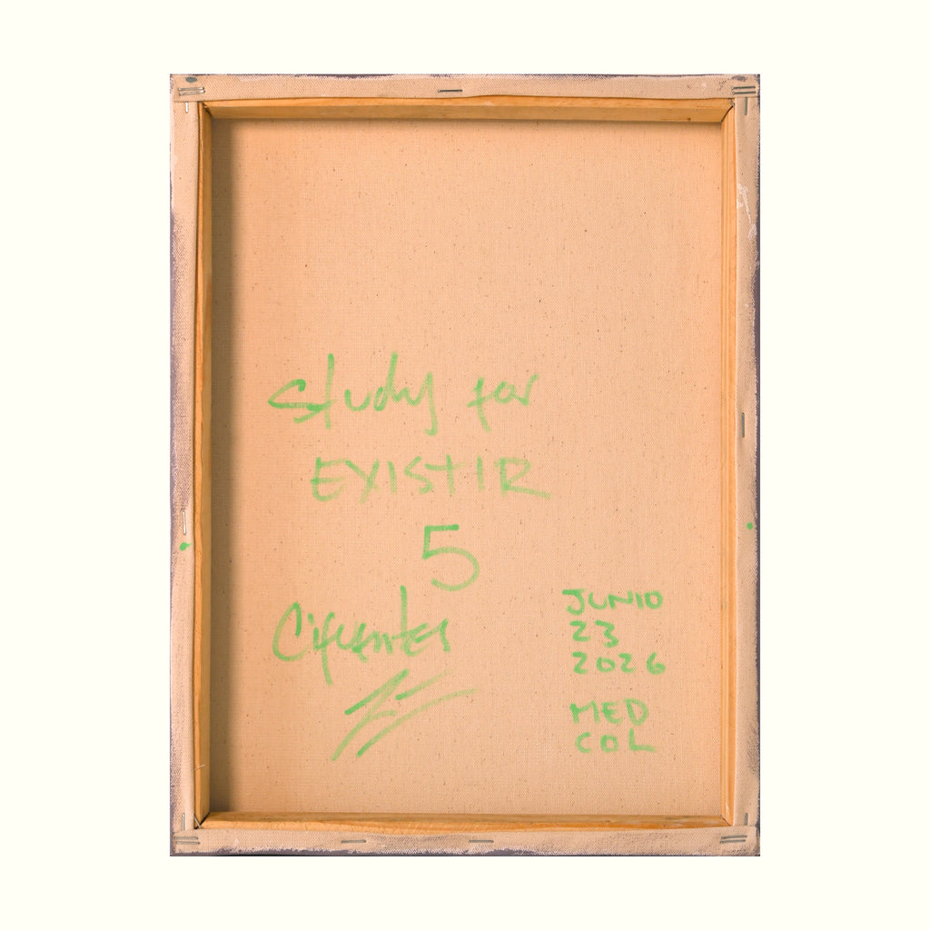 Estudio 5 — EXISTIR