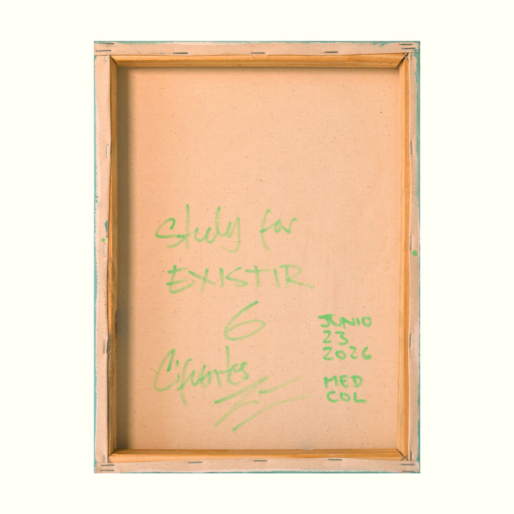 Estudio 6 — EXISTIR