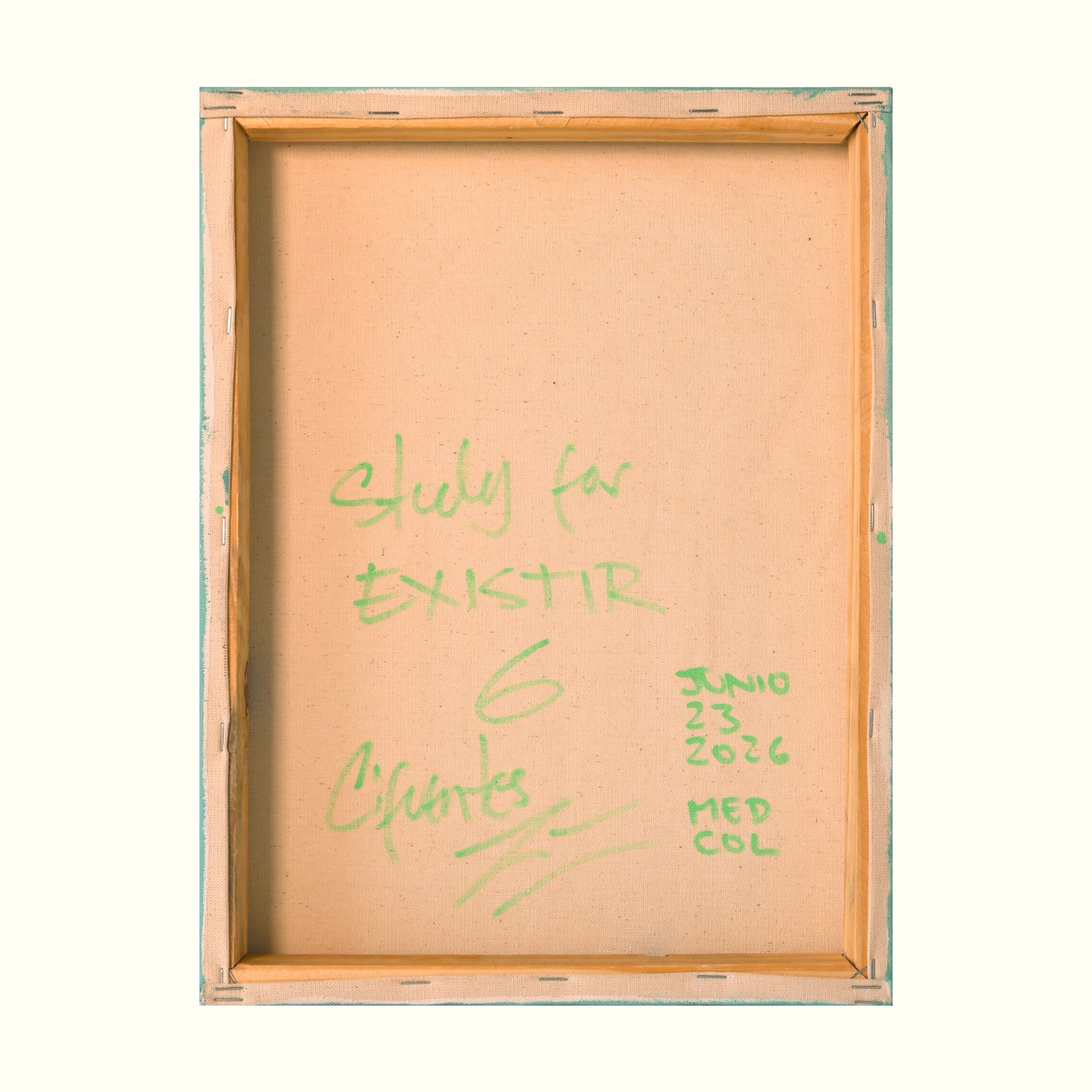 Estudio 6 — EXISTIR