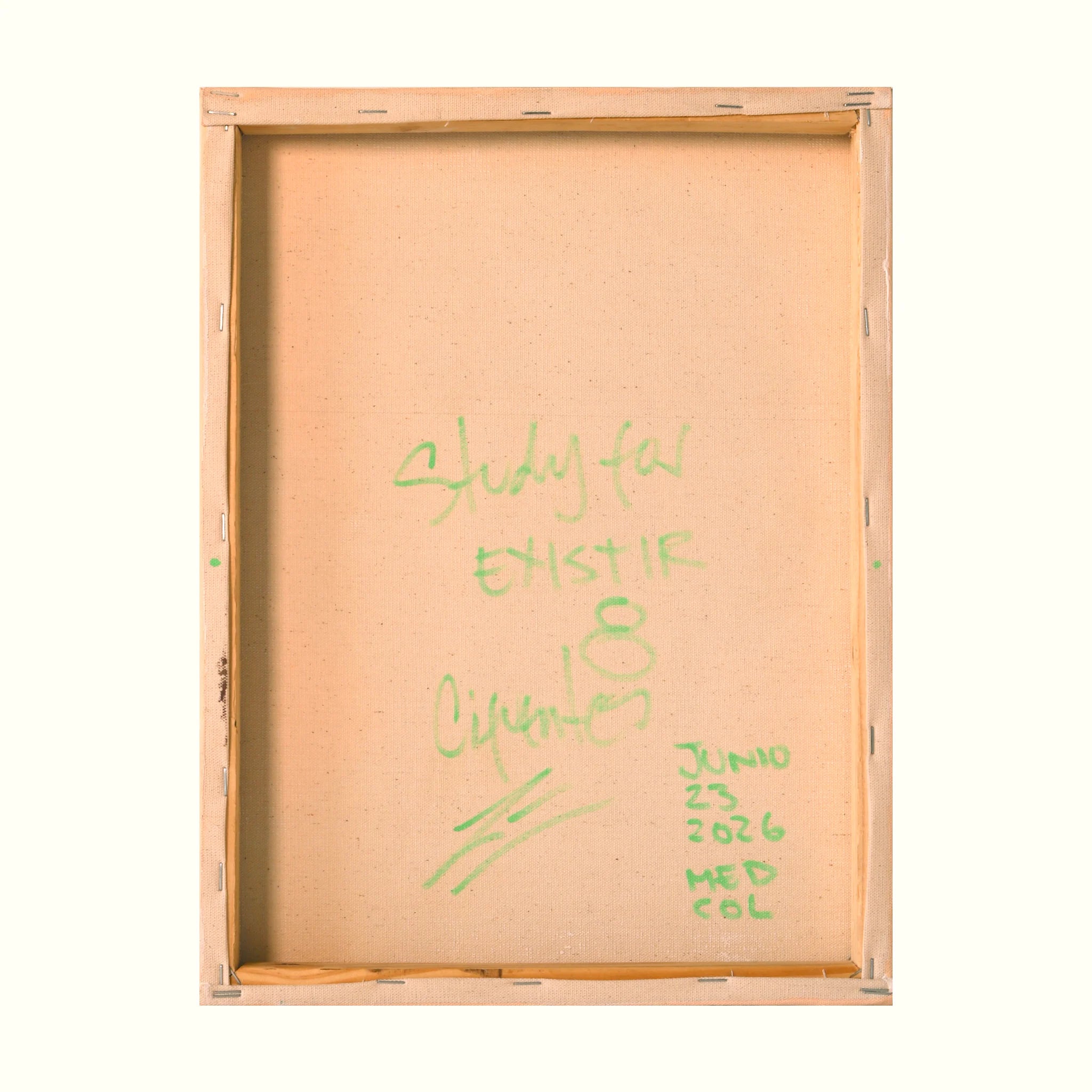 Estudio 8 — EXISTIR